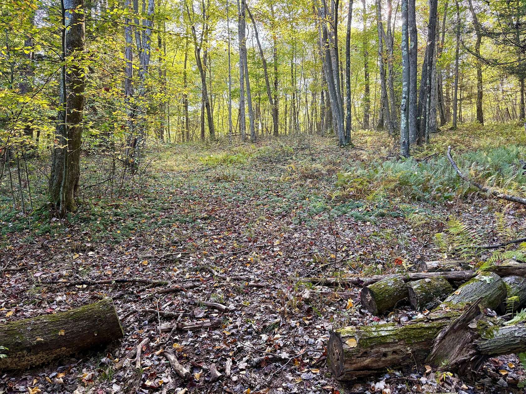 10 Acres of Recreational Land for Sale in Farmington, Pennsylvania