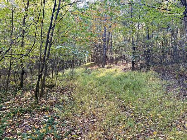 10 Acres of Recreational Land for Sale in Farmington, Pennsylvania