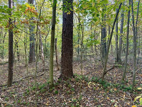 10 Acres of Recreational Land for Sale in Farmington, Pennsylvania