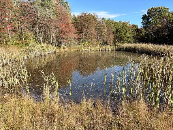 11 Acres of Recreational Land for Sale in Farmington, Pennsylvania
