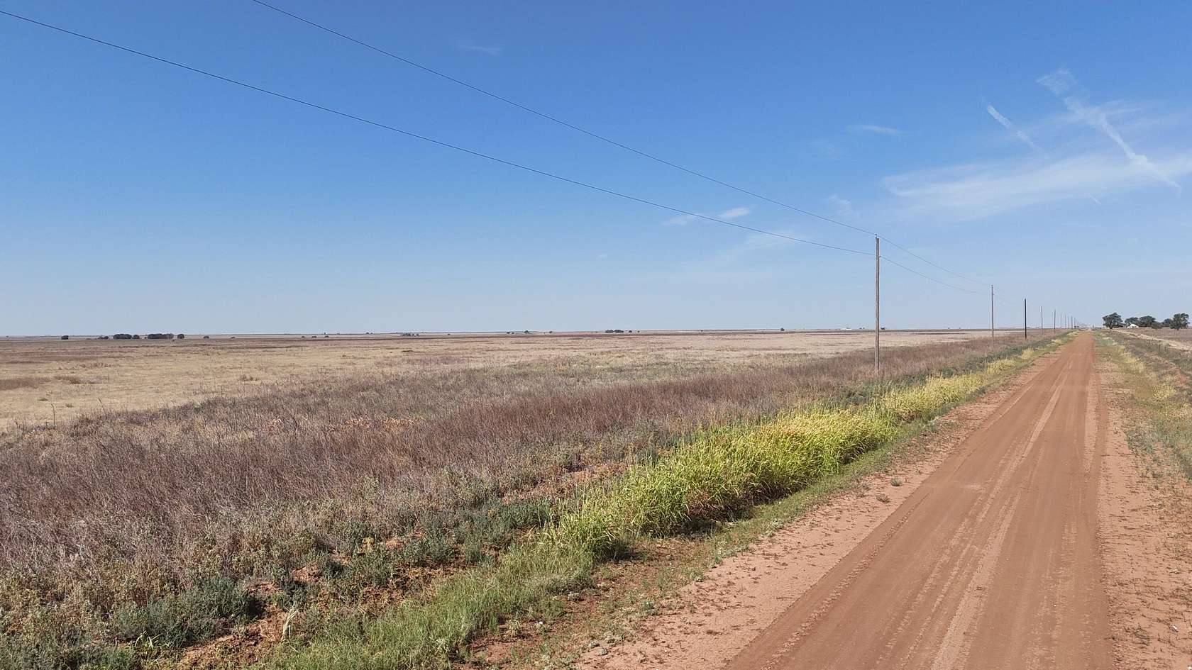 Land for Sale in Bovina, Texas