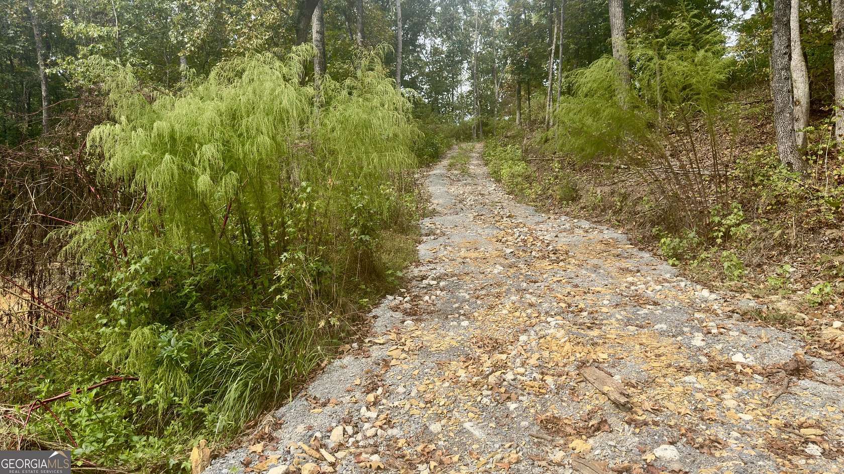 1 Acre of Residential Land for Sale in Plainville, Georgia