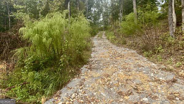 1 Acre of Residential Land for Sale in Plainville, Georgia