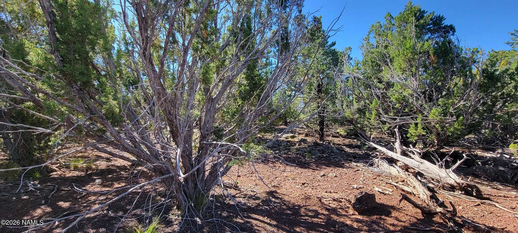 1 Acre of Residential Land for Sale in Williams, Arizona