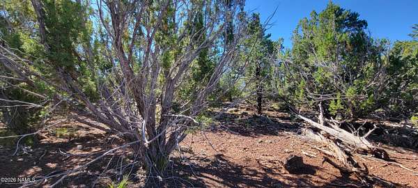 1 Acre of Residential Land for Sale in Williams, Arizona
