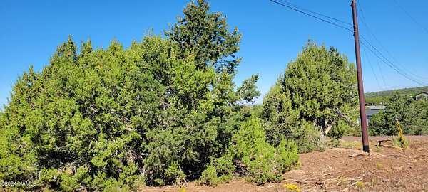 1 Acre of Residential Land for Sale in Williams, Arizona