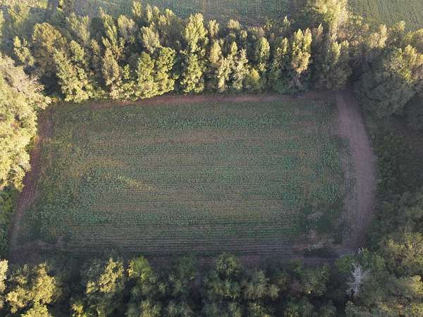 23.3 Acres of Commercial Land for Sale in Chadbourn, North Carolina