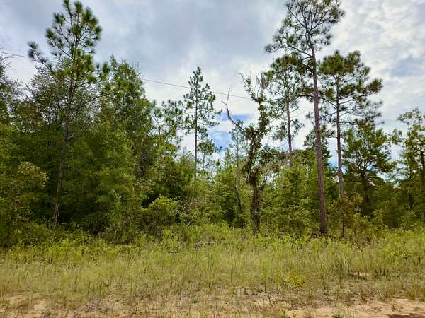 0.22 Acres of Residential Land for Sale in Interlachen, Florida