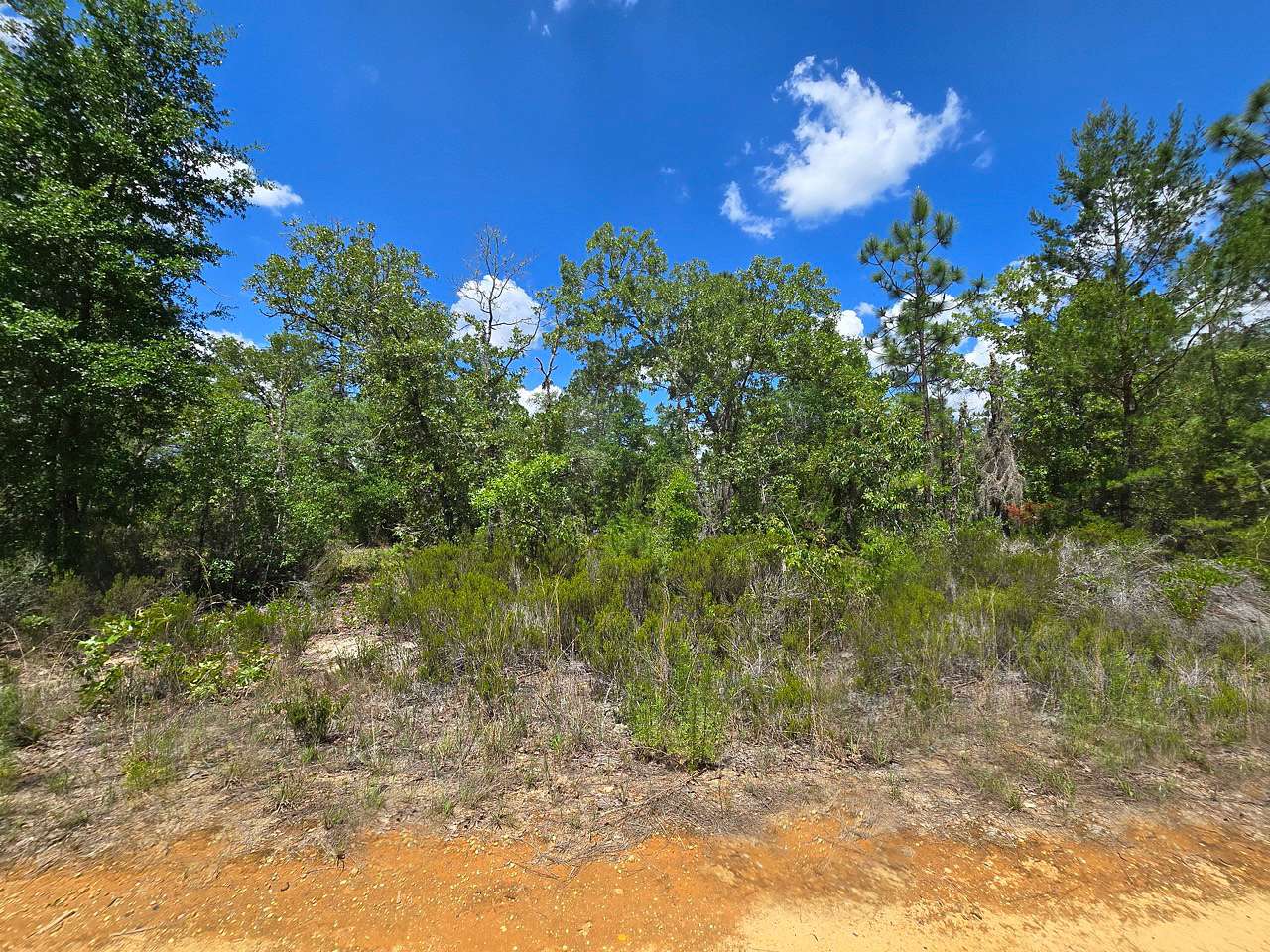0.33 Acres of Residential Land for Sale in Interlachen, Florida