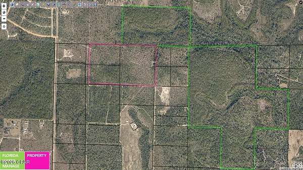 20 Acres of Land for Sale in Fountain, Florida