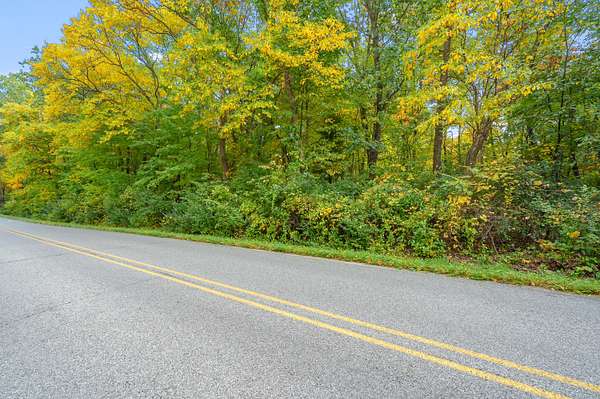 20 Acres of Recreational & Residential Land for Sale in Battle Creek, Michigan