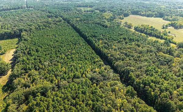 39 Acres of Recreational & Residential Land for Sale in Pelahatchie, Mississippi