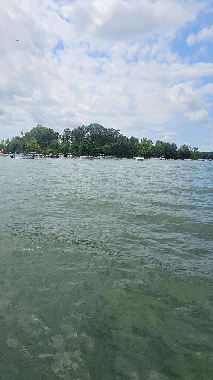0.33 Acres of Land for Sale in Shelbyville, Michigan