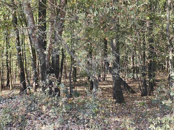 24 Acres of Land for Sale in Searcy, Arkansas