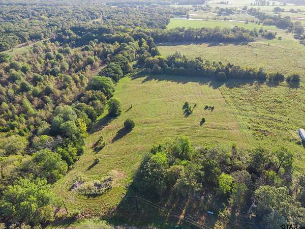 10.4 Acres of Land for Sale in Ben Wheeler, Texas