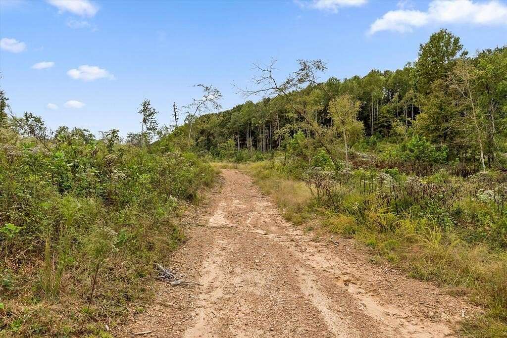 81.5 Acres of Agricultural Land for Sale in Rocky Face, Georgia