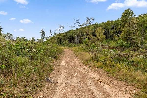 81.5 Acres of Agricultural Land for Sale in Rocky Face, Georgia