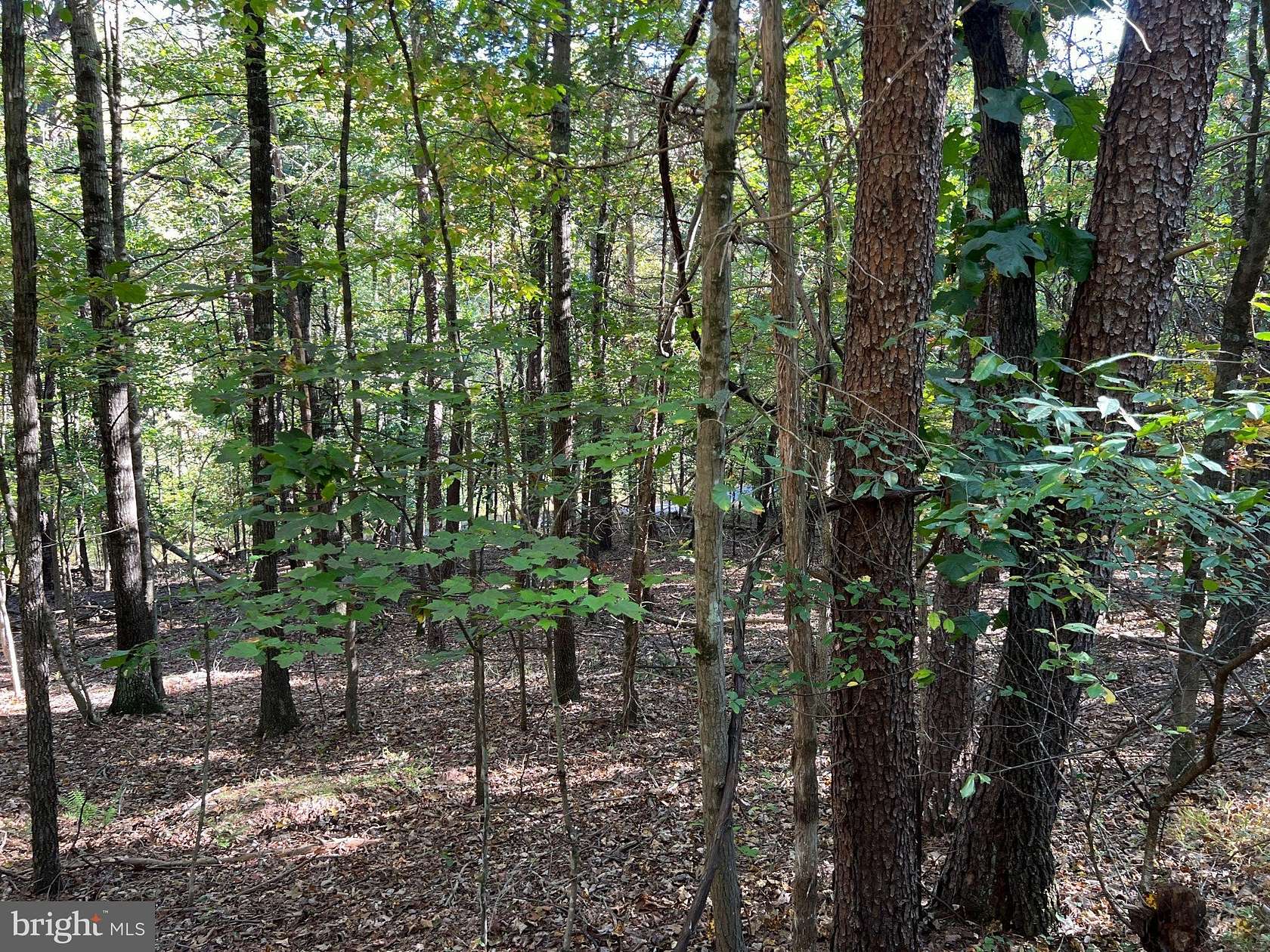 0.69 Acres of Land for Sale in Mount Jackson, Virginia