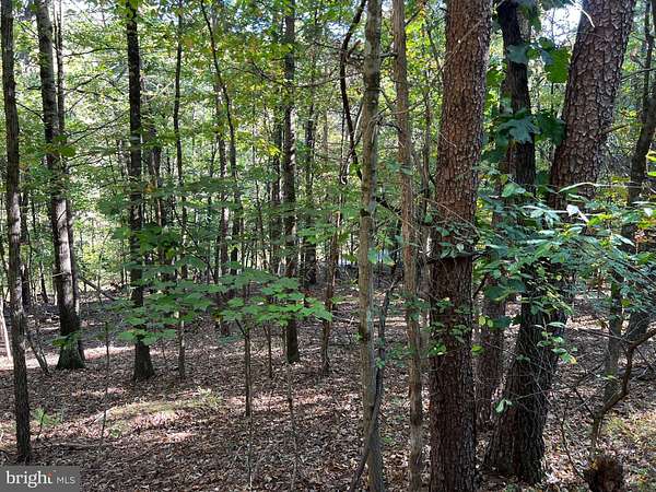 0.69 Acres of Land for Sale in Mount Jackson, Virginia