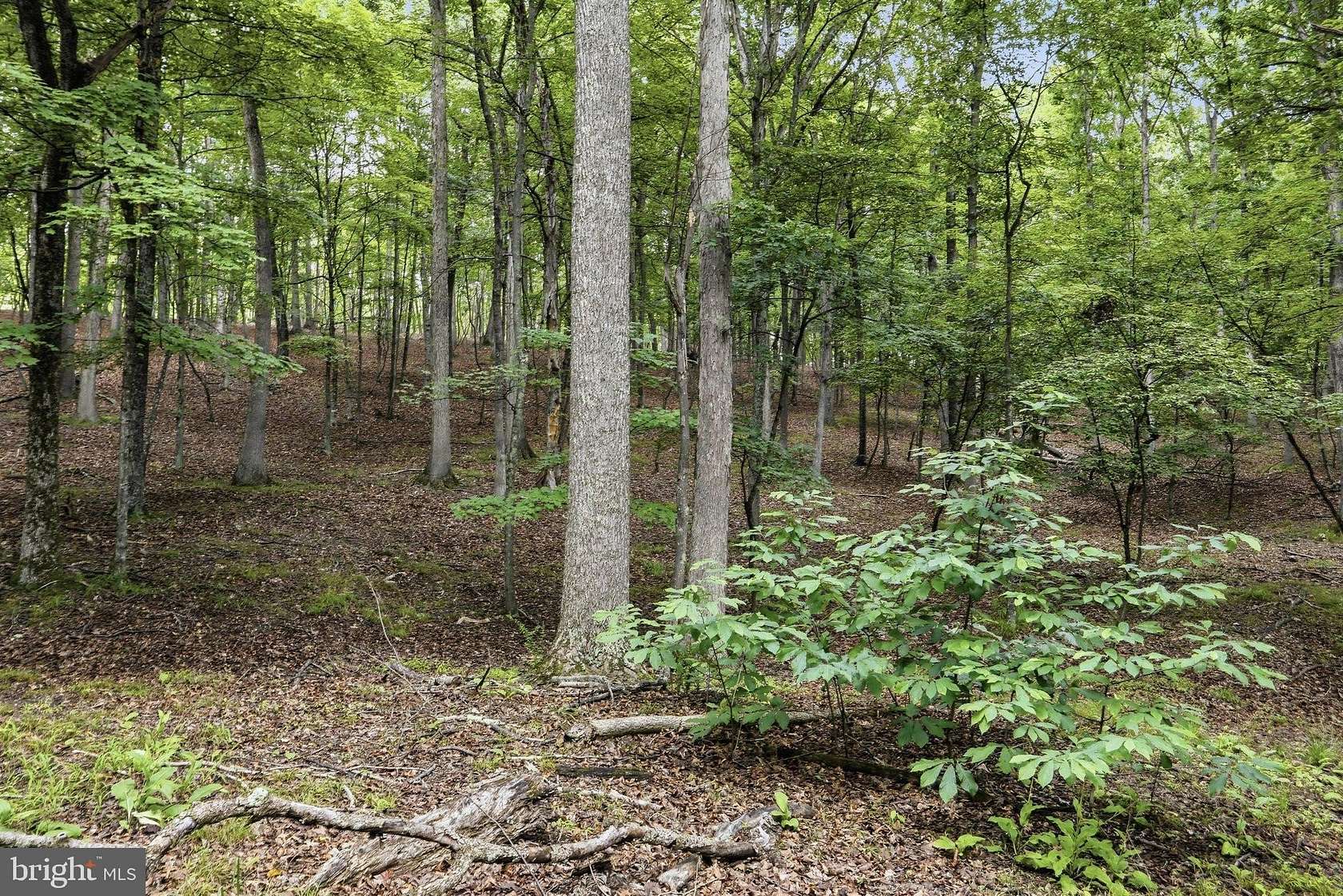 7 Acres of Residential Land for Sale in Great Cacapon, West Virginia