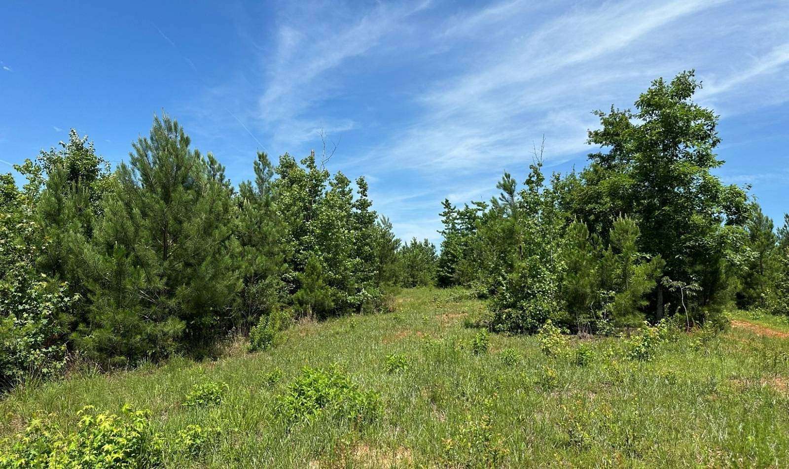 38 Acres of Recreational & Residential Land for Sale in Greenville, Alabama