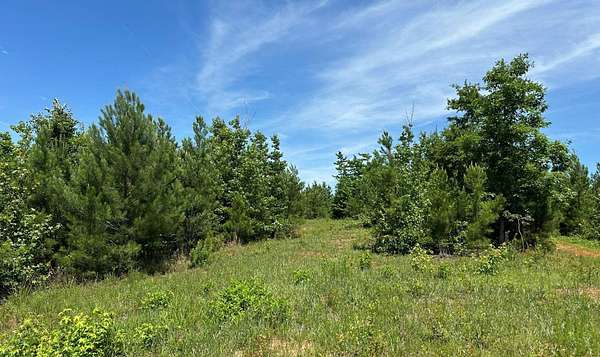 38 Acres of Recreational & Residential Land for Sale in Greenville, Alabama