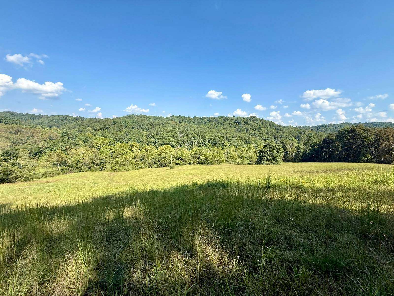 250 Acres of Land for Sale in Pullman, West Virginia