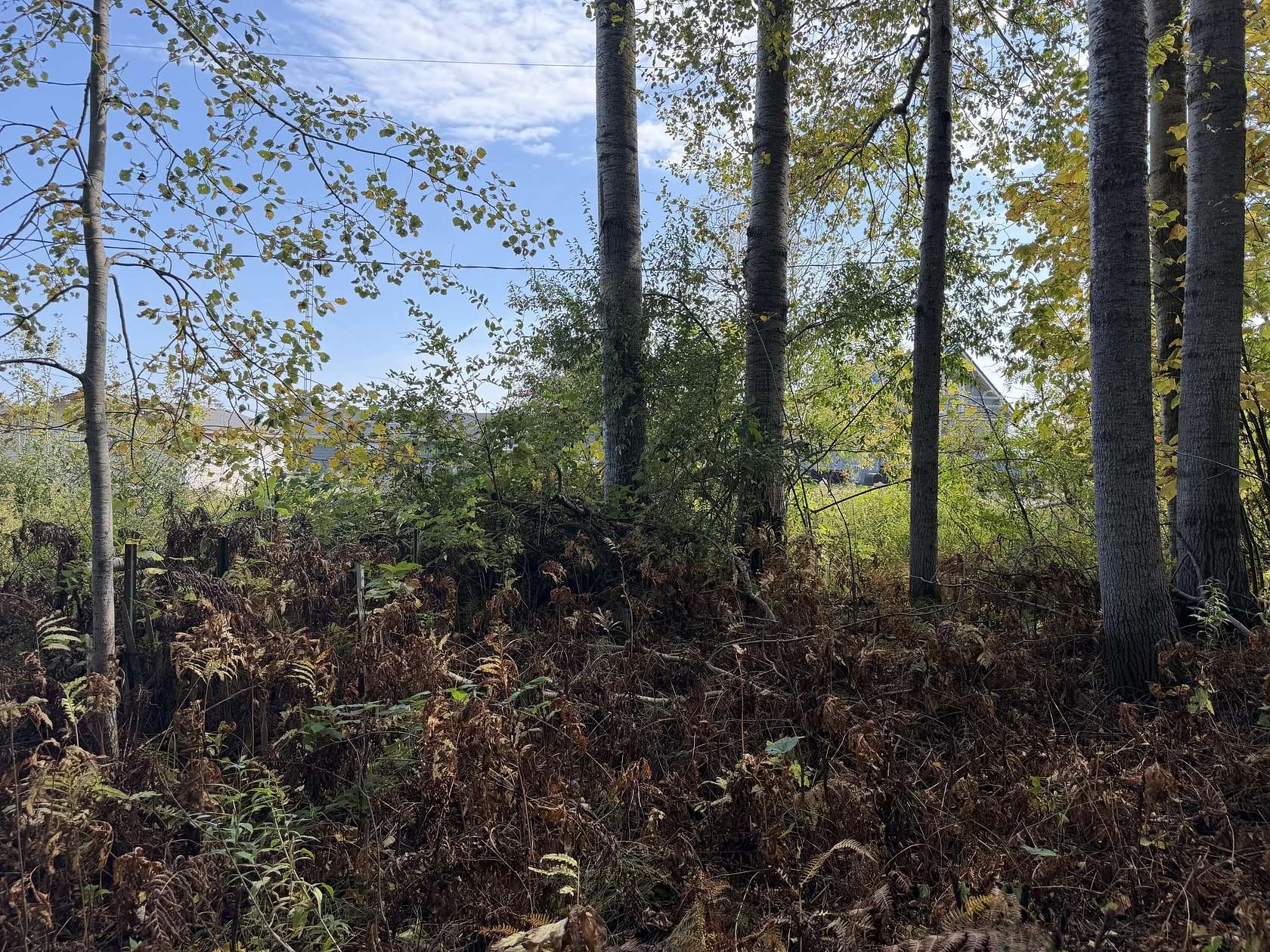 Land for Sale in Black River, Michigan