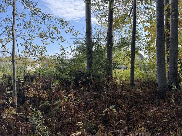 Land for Sale in Black River, Michigan