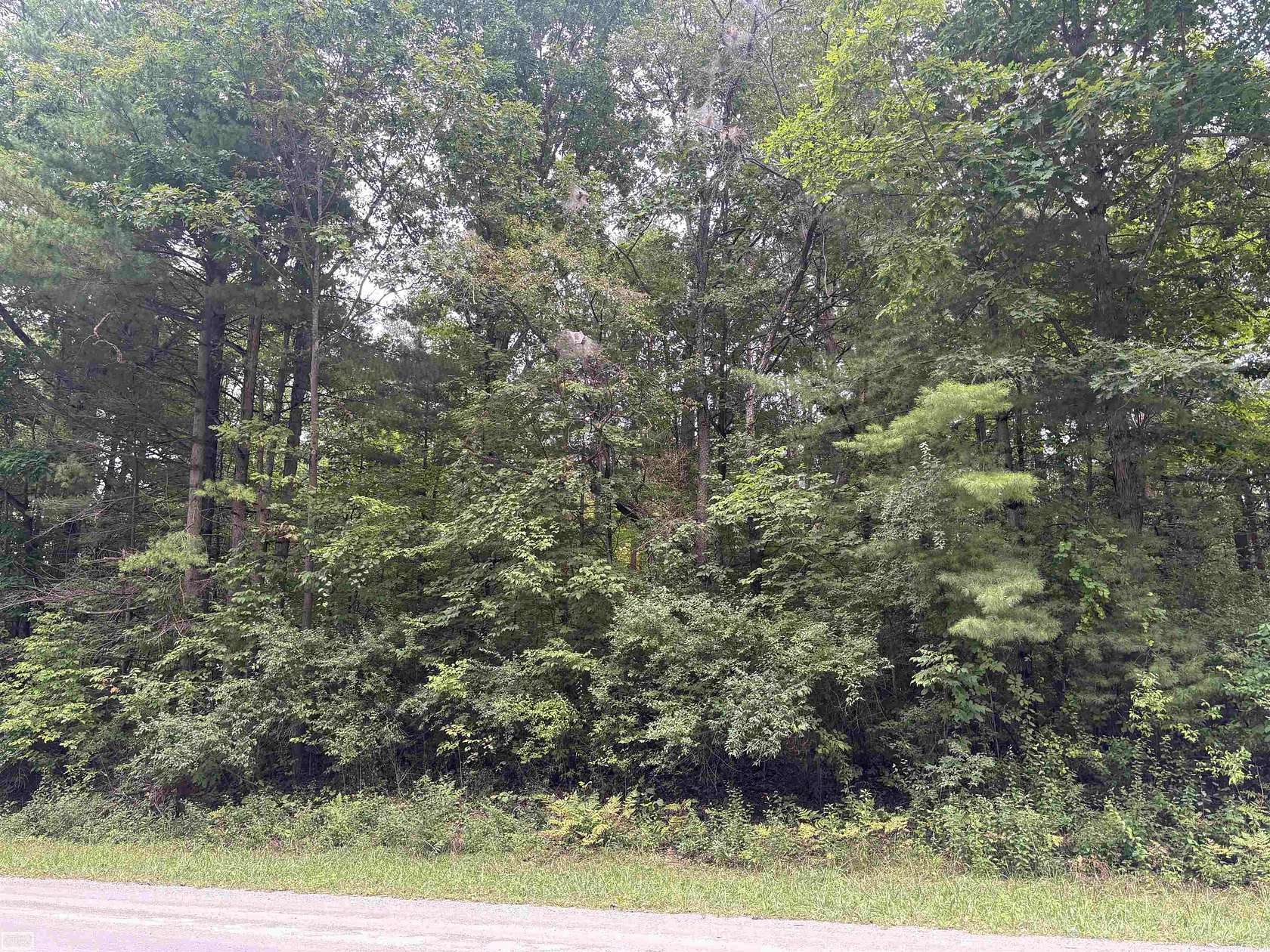 7.37 Acres of Residential Land for Sale in Clyde Township, Michigan