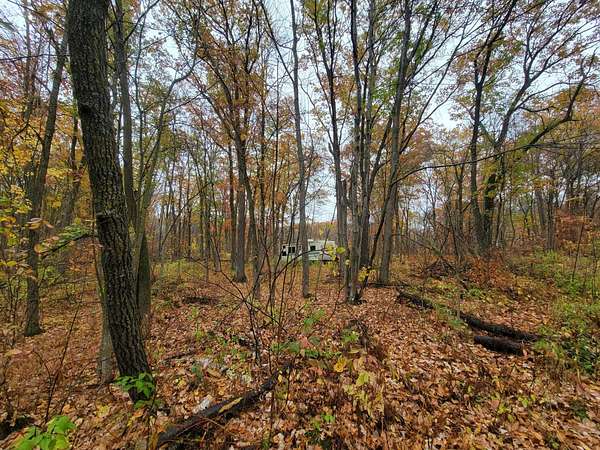 0.67 Acres of Land for Sale in Cushing, Minnesota
