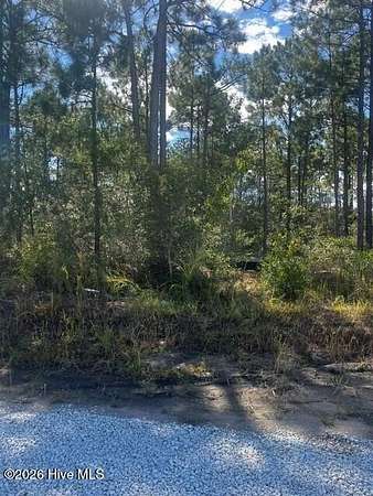 0.27 Acres of Residential Land for Sale in Hampstead, North Carolina