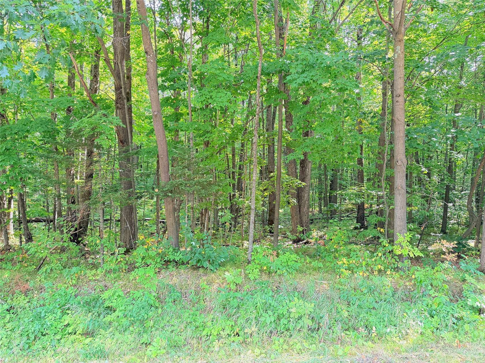 30 Acres of Recreational Land for Sale in Glen Flora, Wisconsin