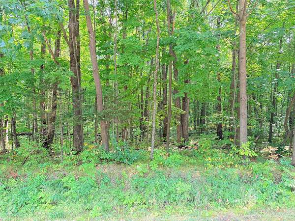 30 Acres of Recreational Land for Sale in Glen Flora, Wisconsin