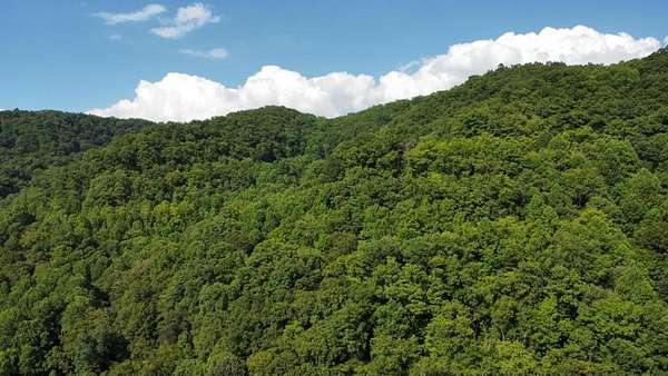 71.8 Acres of Recreational Land for Sale in Grundy, Virginia