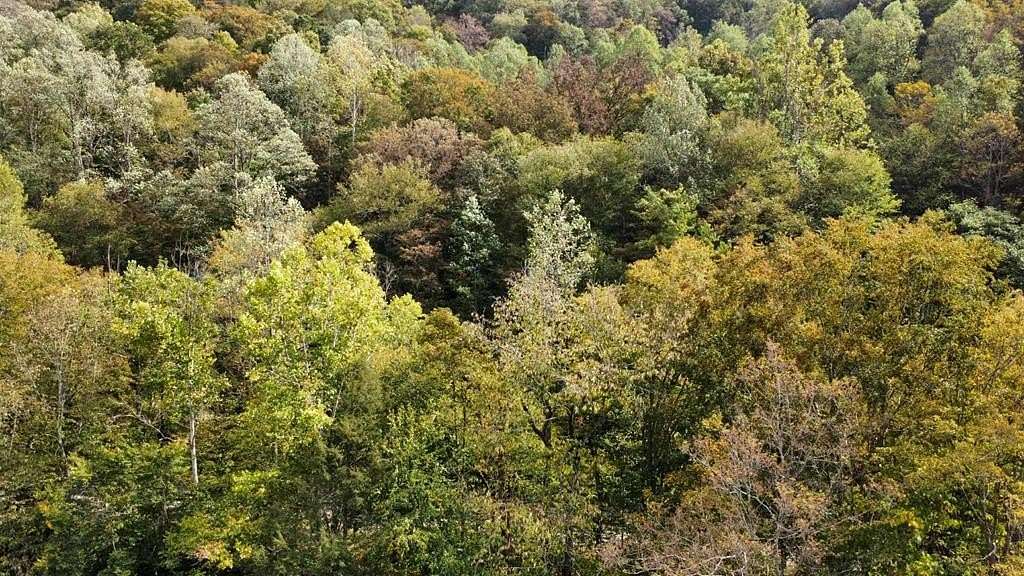 15 Acres of Recreational Land for Sale in Grundy, Virginia