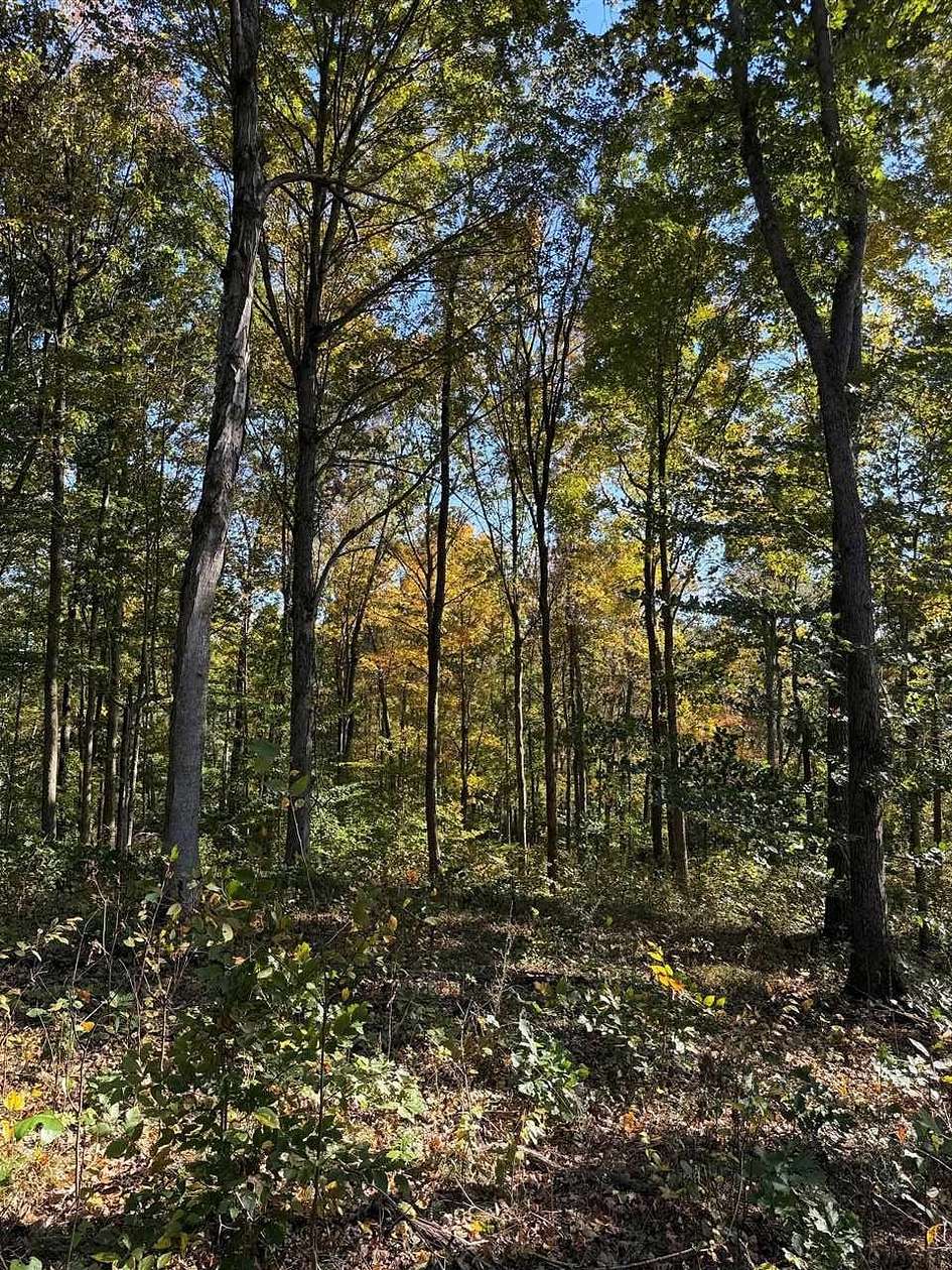 13 Acres of Recreational & Residential Land for Sale in Scottsville, Kentucky