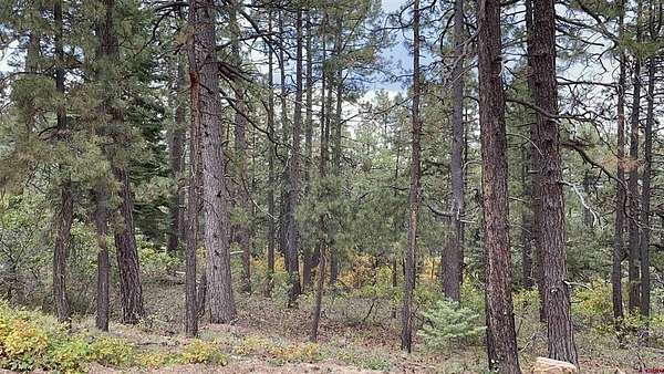 3.17 Acres of Residential Land for Sale in Bayfield, Colorado