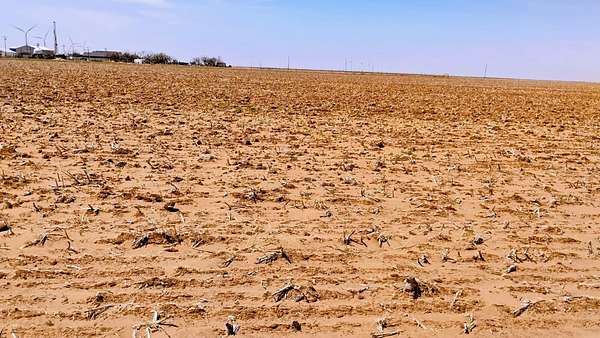 10 Acres of Land for Sale in Tahoka, Texas