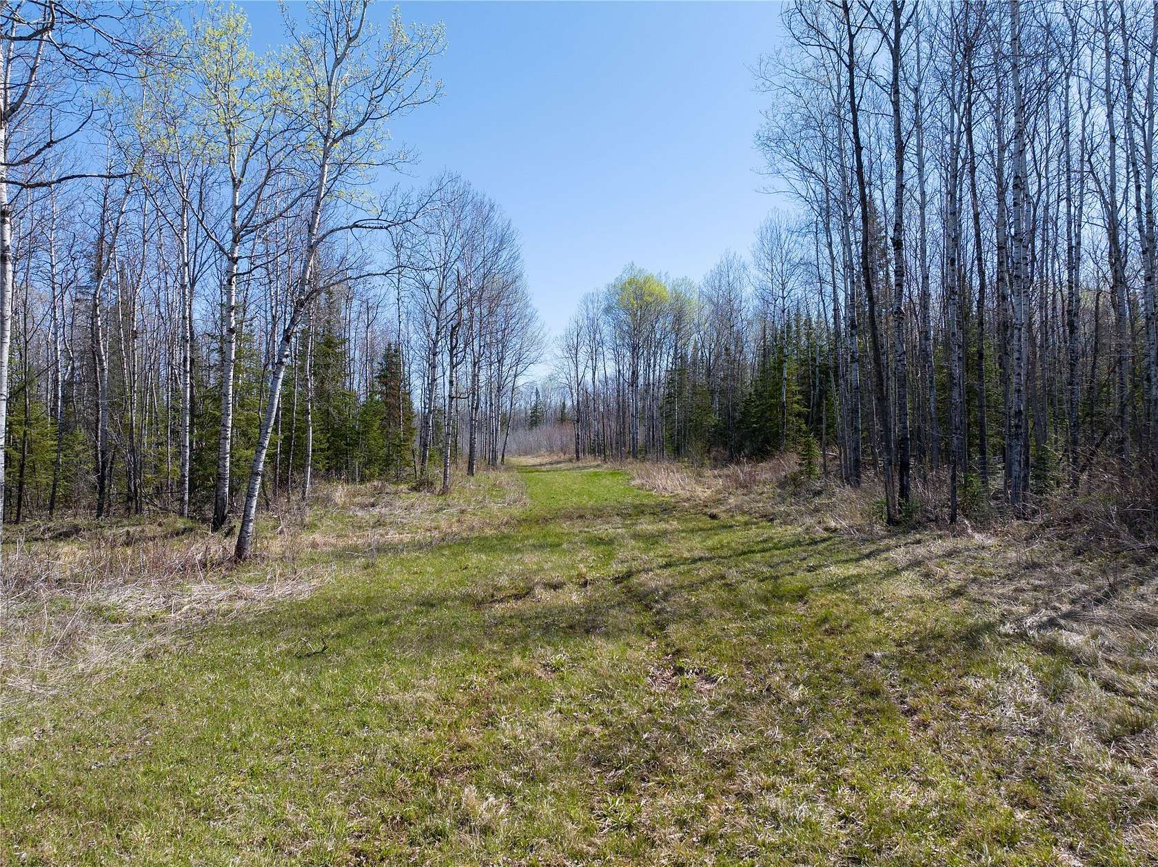 120 Acres of Recreational Land for Sale in Herbster, Wisconsin