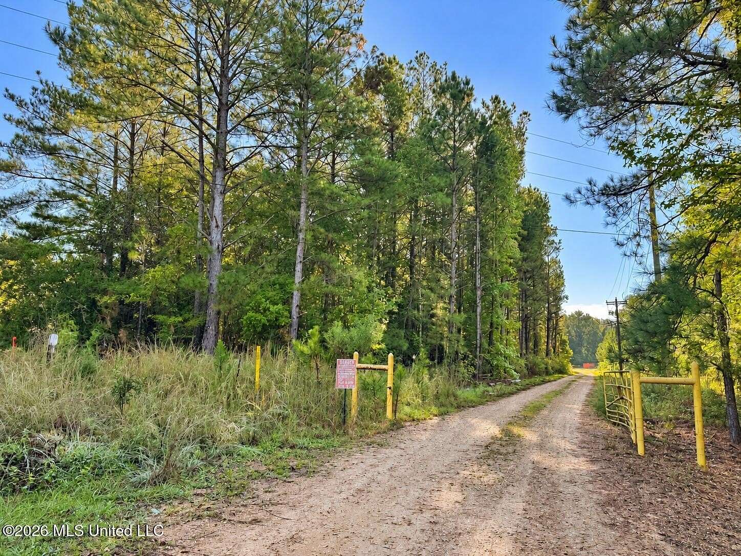 45 Acres of Recreational & Residential Land for Sale in Summit, Mississippi