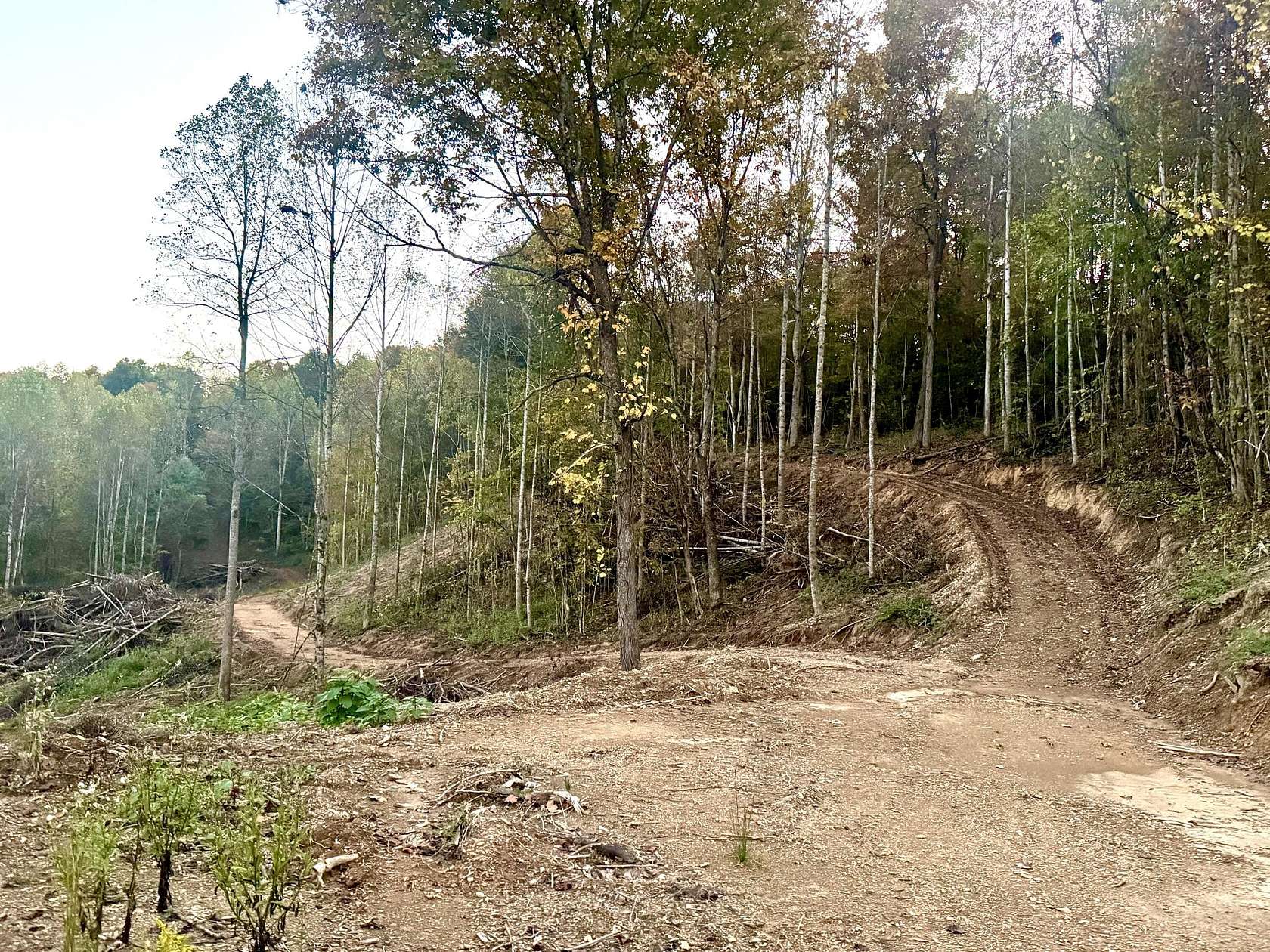 16.7 Acres of Land for Sale in East Bernstadt, Kentucky