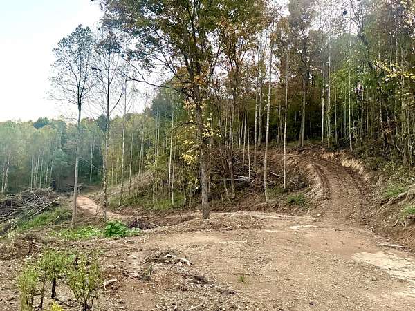 16.7 Acres of Land for Sale in East Bernstadt, Kentucky