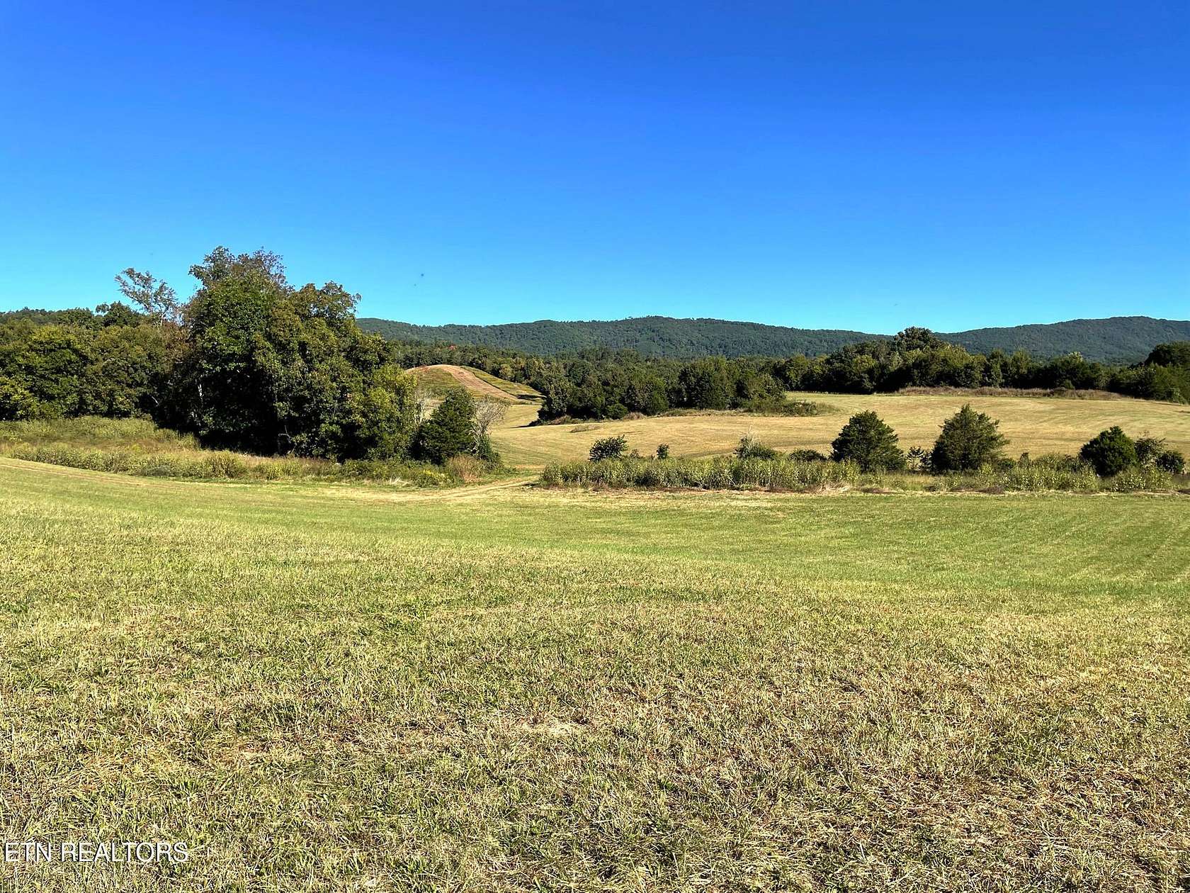 198 Acres of Recreational Land for Sale in Blaine, Tennessee
