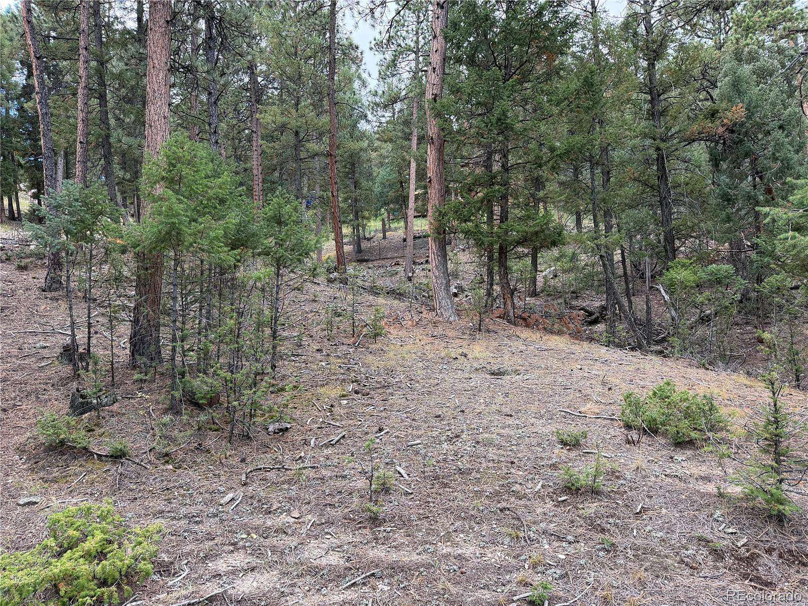 2 Acres of Land for Sale in Pine Grove, Colorado