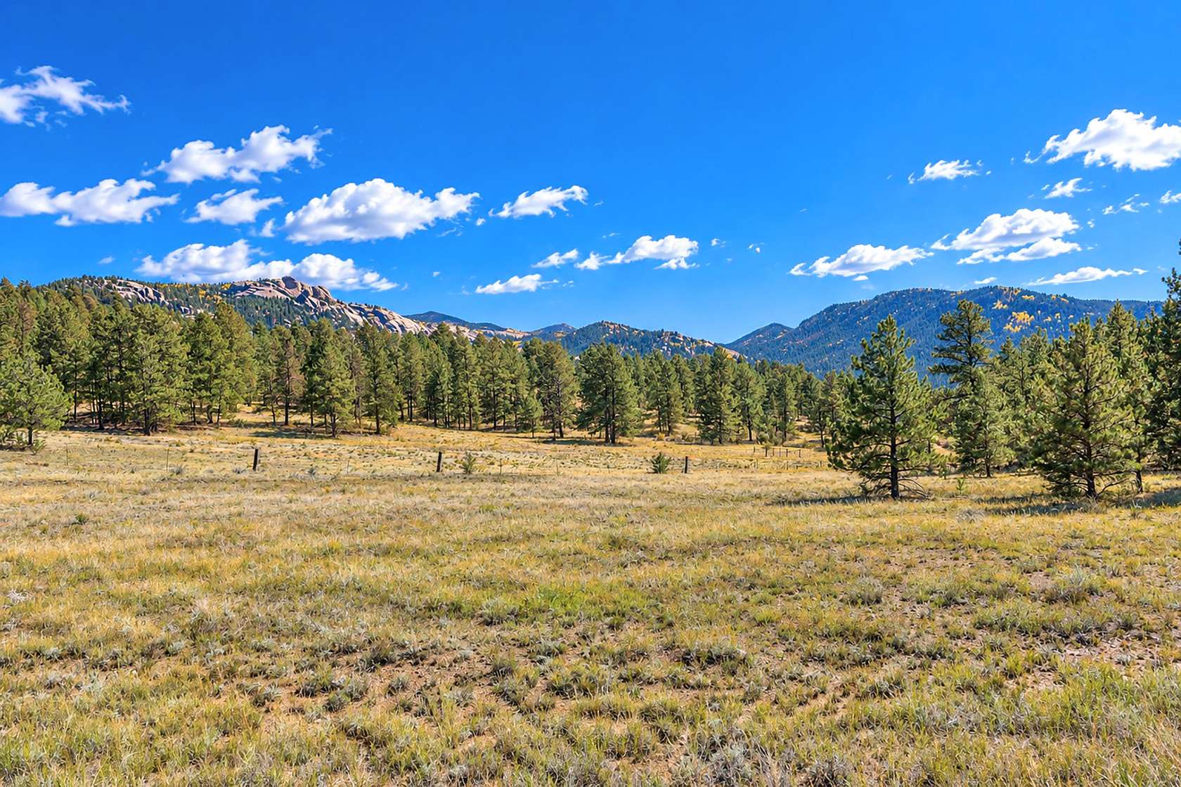3 Acres of Land for Sale in Florissant, Colorado