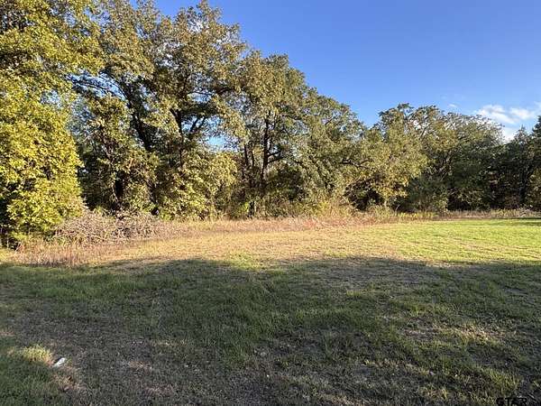 0.22 Acres of Residential Land for Sale in Tool, Texas