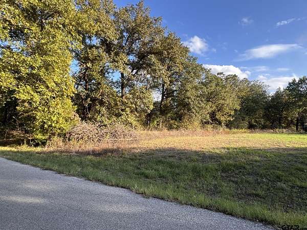 0.22 Acres of Residential Land for Sale in Tool, Texas