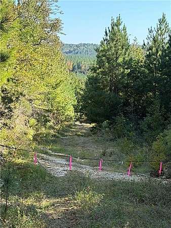 80 Acres of Recreational Land for Sale in Butler, Alabama