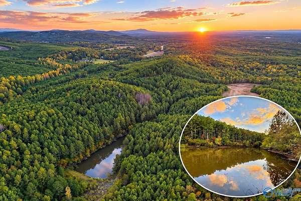223 Acres of Recreational & Residential Land for Sale in Centre, Alabama